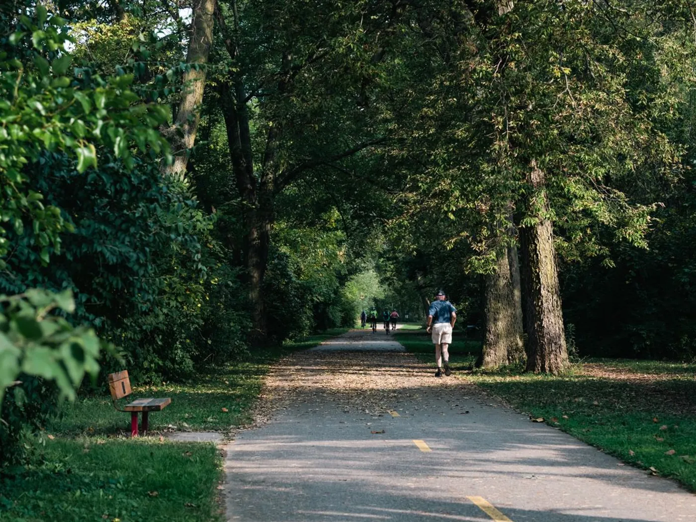 Riparian jogging and cycling trail through the retained tree canopy
